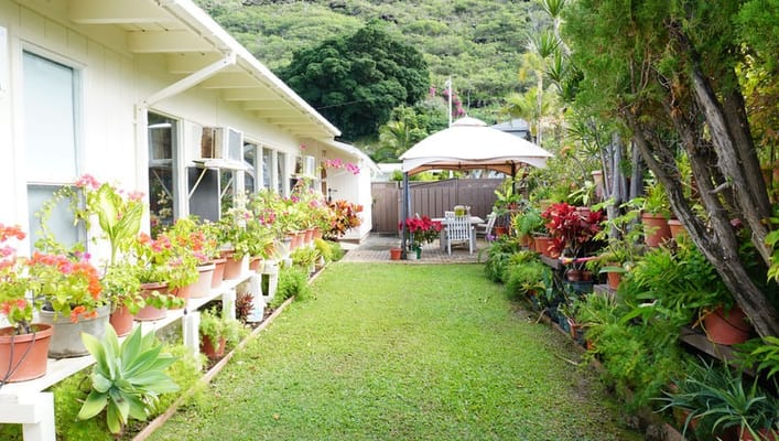 Lush garden pathway with potted plants and seating area