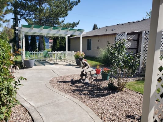 Garden area with seating and a resident dog