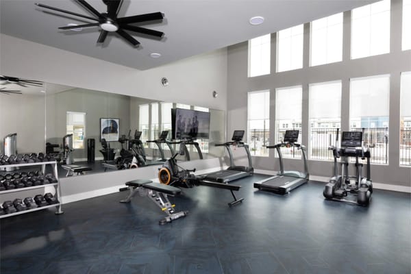 Well-equipped gym with treadmills, weights, and large windows.