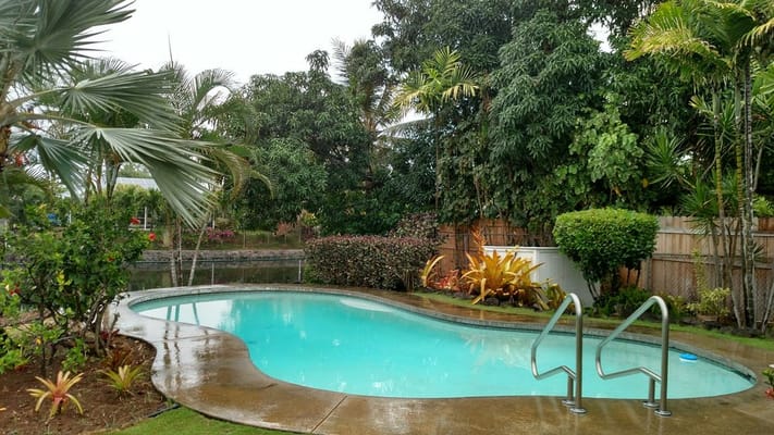 Outdoor swimming pool area surrounded by tropical plants