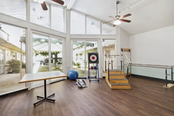 Interior view of a therapy room with equipment and outdoor access