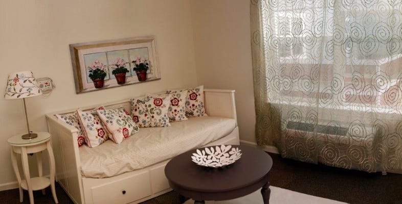 Bright living room with a sofa and decorative pillows