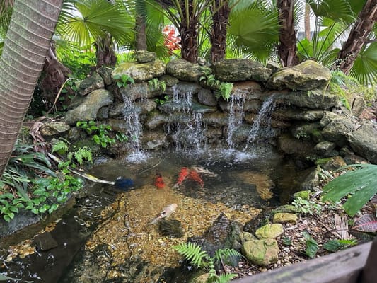 A serene pond with koi fish and a waterfall surrounded by lush greenery