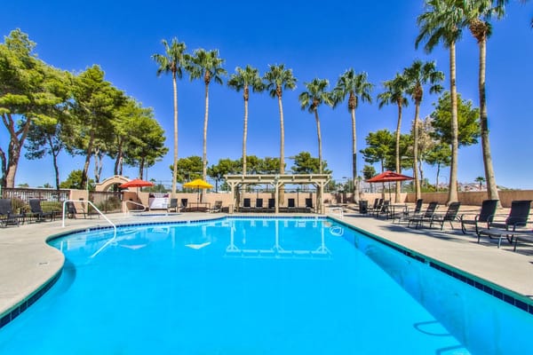Swimming pool surrounded by palm trees and lounge chairs