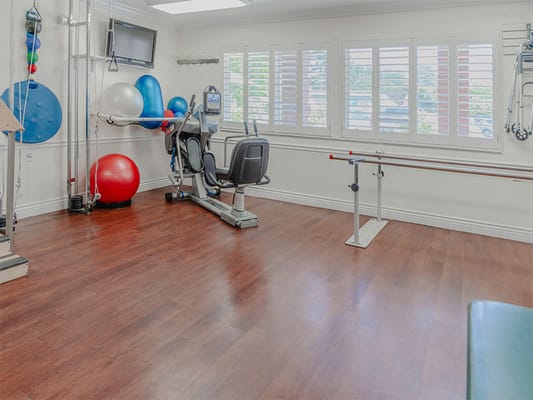 Rehabilitation therapy room with exercise equipment and therapy balls