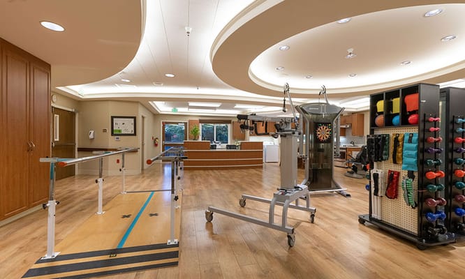 Rehabilitation gym with therapy equipment and exercise tools