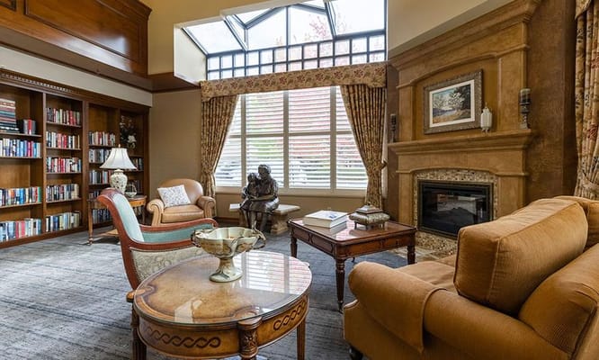 Comfortable library lounge with bookshelves and fireplace