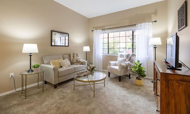 Cozy living room with armchairs and a coffee table.