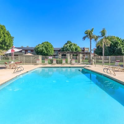 Bright outdoor swimming pool surrounded by trees