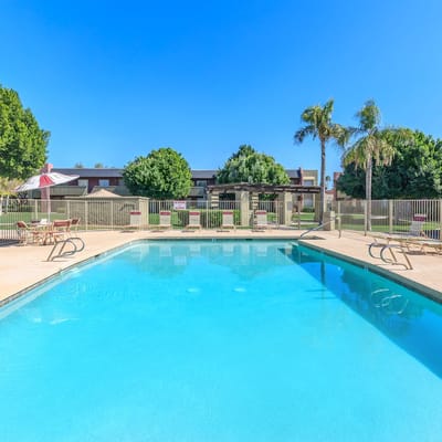 Swimming pool surrounded by patio and landscaping