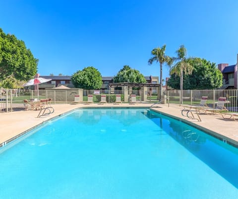 Swimming pool with lounge chairs and palm trees