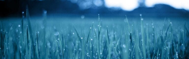 Harmony Court Rehab and Nursing