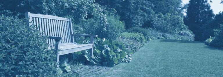 Harmony Court Rehab and Nursing