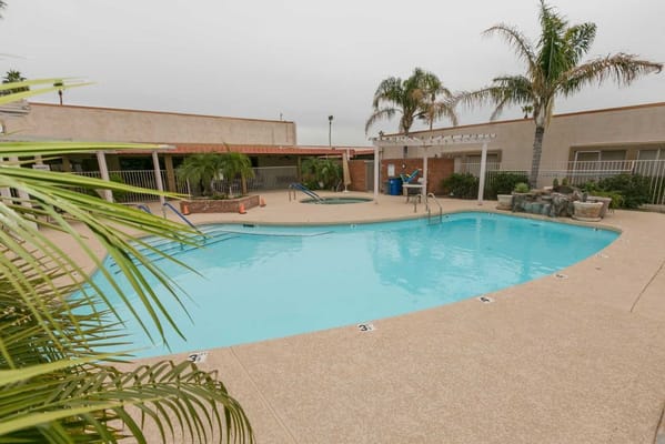 Outdoor pool area with palm trees and lounge chairs