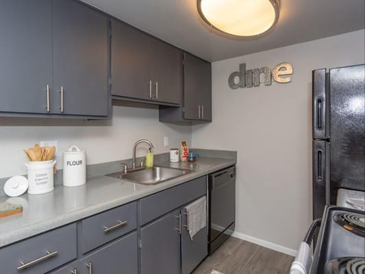Modern kitchen with grey cabinets and stainless steel appliances