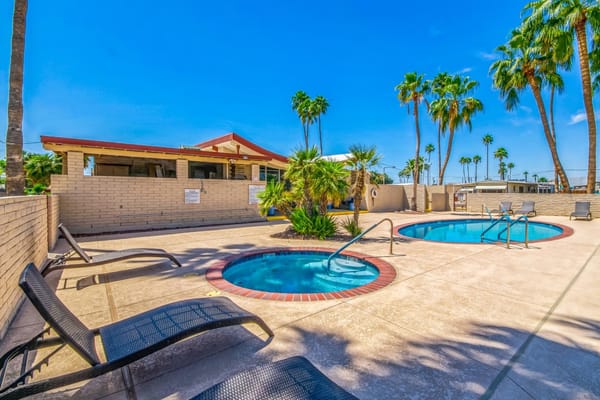 Outdoor pool area with palm trees and lounge chairs