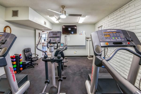 Interior view of fitness equipment in a gym area