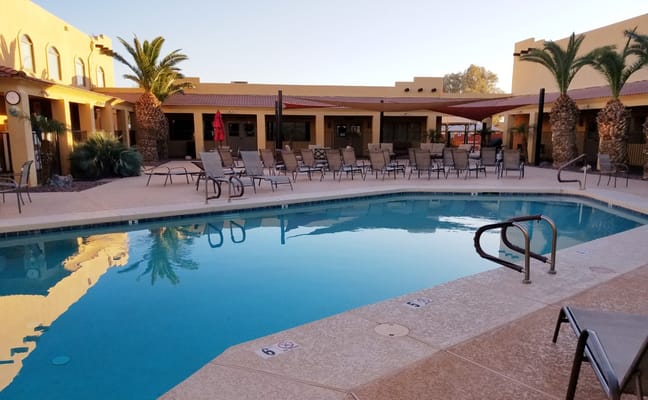 Swimming pool area with lounge chairs and palm trees