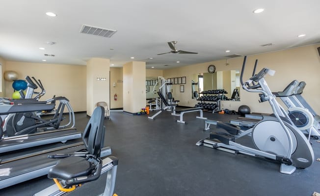 Interior of the gym featuring exercise equipment