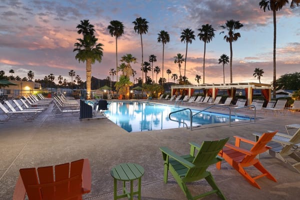 Outdoor pool with lounge chairs and palm trees at sunset