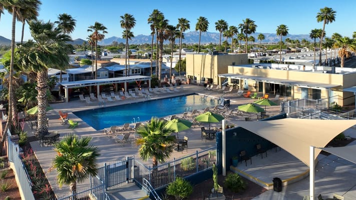 Aerial view of the pool area surrounded by palm trees and seating.