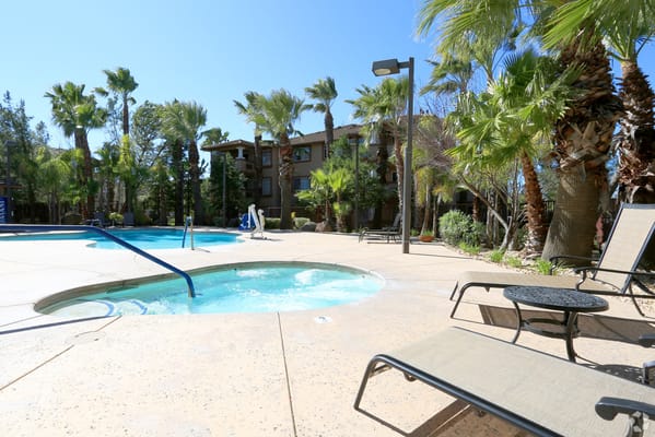 Outdoor pool area with palm trees and lounge chairs
