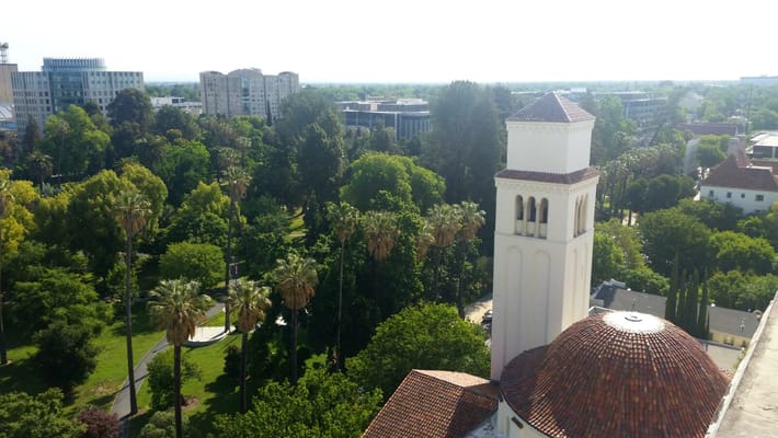Aerial view of trees and green space near a building