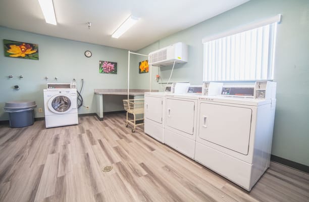 Laundry room with washing machines and colorful wall art