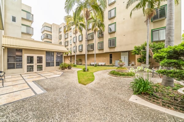 Serene courtyard with palm trees and seating