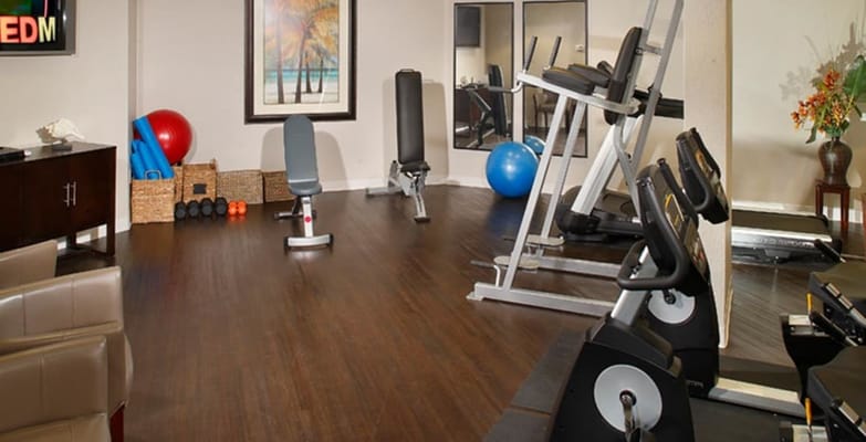 Well-equipped gym with exercise machines and free weights