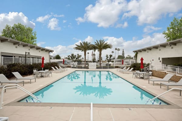 Outdoor pool area with lounge chairs and palm trees