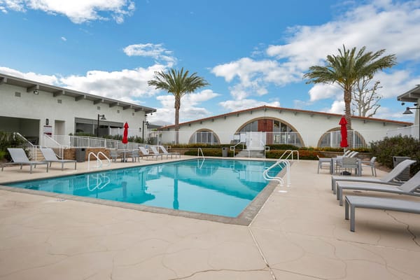Swimming pool area with loungers and palm trees