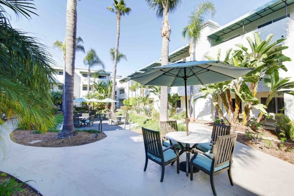 Outdoor courtyard with seating and palm trees