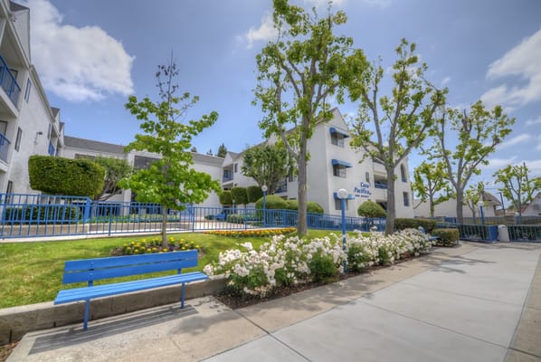 Beautiful exterior view of Casa Pacifica Senior Apartments