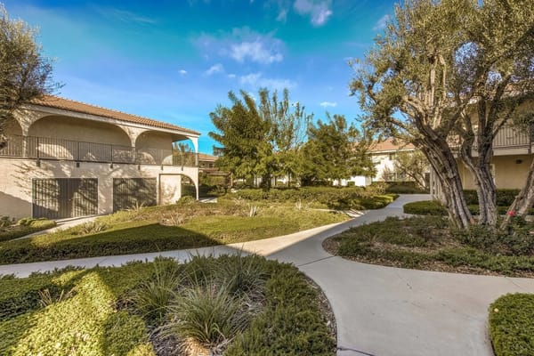 A winding path surrounded by lush greenery and buildings.
