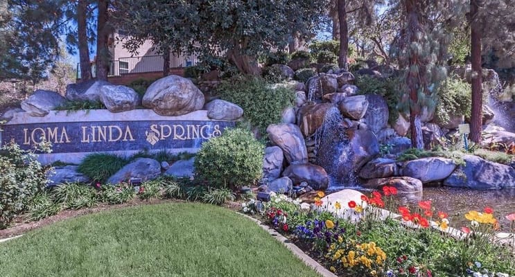Beautiful garden area with a water feature