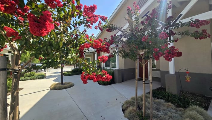 Floral landscaping in a senior living facility courtyard