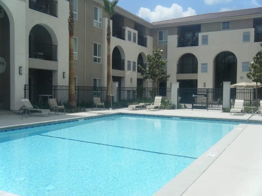 Outdoor pool area with lounge chairs and palm trees