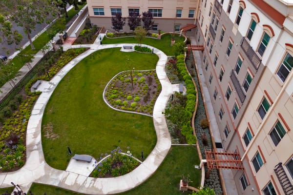 Aerial view of a landscaped outdoor space