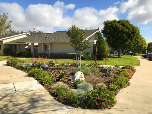 Well-maintained garden with colorful flowers and walking paths