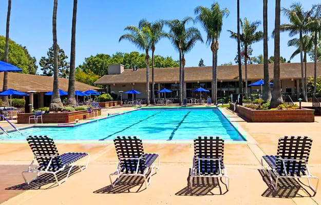 Outdoor swimming pool with lounge chairs and palm trees