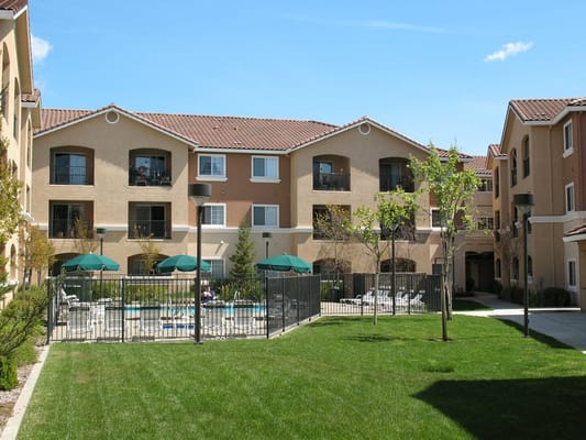 Swimming pool area with lounge chairs and umbrellas at Vintage Zinfandel Senior Apartments.