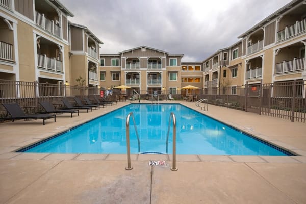 Swimming pool area with loungers and building backdrop