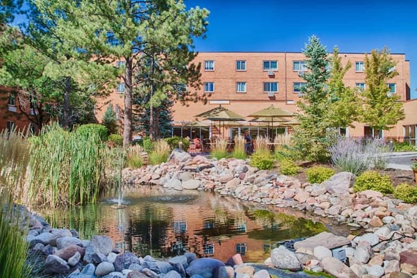 Garden area with a pond and seating for residents
