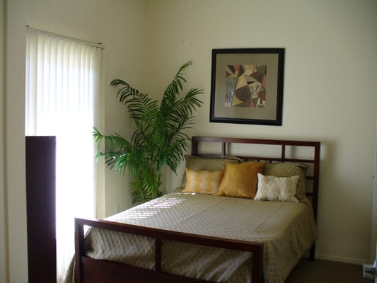 A well-decorated bedroom with a bed, decorative pillows, and a plant