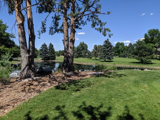 Scenic outdoor view with trees and water