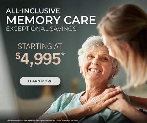 Rittenhouse Village At Northside