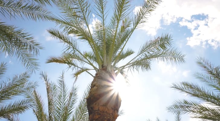 Overture North Scottsdale