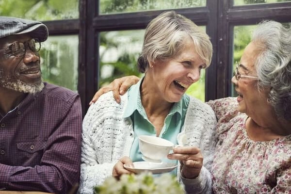 Metro East Senior Park