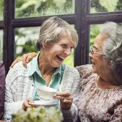 Metro East Senior Park